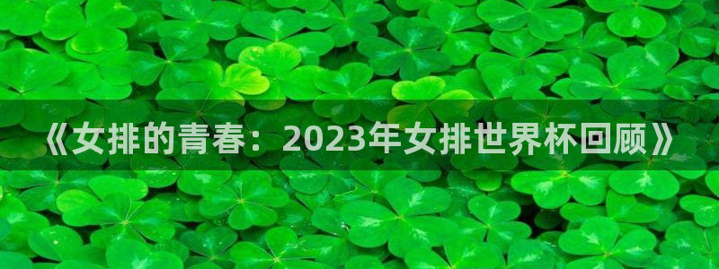 2026世界杯直播：《女排的青春：2023年女排世界杯回顾》