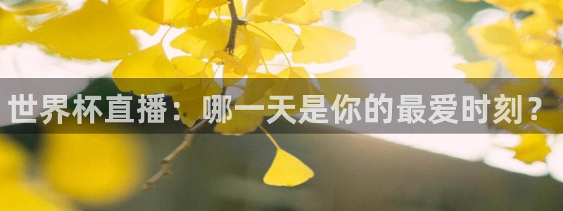 世界杯预选赛赛程时间表：世界杯直播：哪一天是你的最爱时刻？