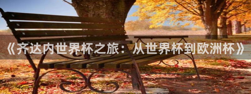 世界杯官网入口：《齐达内世界杯之旅：从世界杯到欧洲杯》