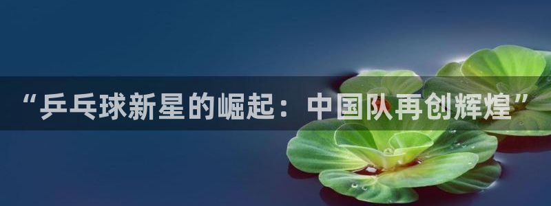 世预赛赛程表：“乒乓球新星的崛起：中国队再创辉煌”