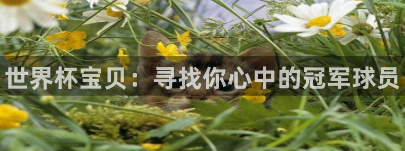 2026世界杯赛程表完整版：世界杯宝贝：寻找你心中的冠军球员