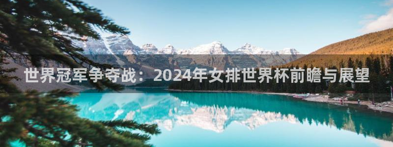 世界杯球队排名：世界冠军争夺战：2024年女排世界杯前瞻与展望
