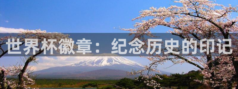 2026世界杯直播：世界杯徽章：纪念历史的印记