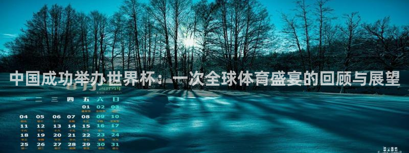 世界杯在线直播：中国成功举办世界杯：一次全球体育盛宴的回顾与展望