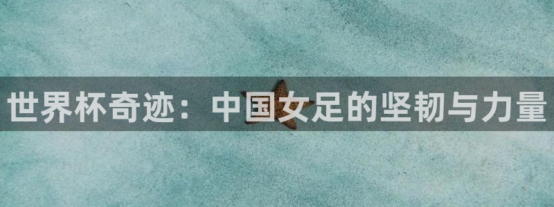 2026足球世界杯赛程：世界杯奇迹：中国女足的坚韧与力量