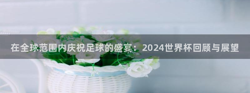 世界杯直播观看：在全球范围内庆祝足球的盛宴：2024世界杯回顾与展望