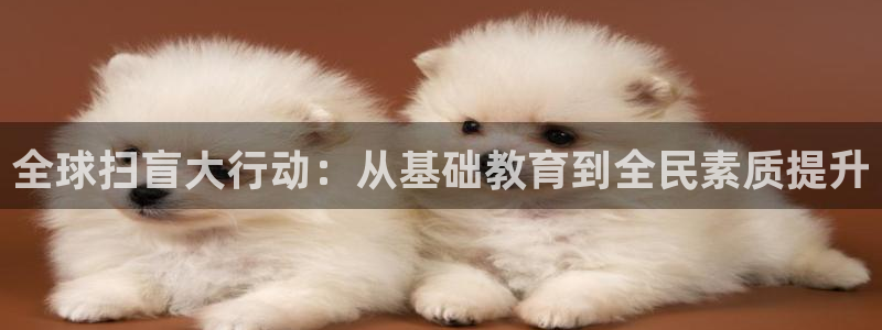世界杯球赛：全球扫盲大行动：从基础教育到全民素质提升