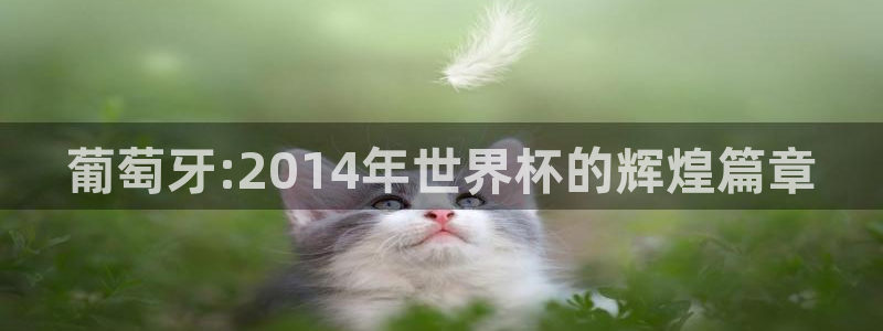 欧洲世界杯预选赛：葡萄牙:2014年世界杯的辉煌篇章
