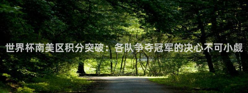 2026世界杯直播免费观看：世界杯南美区积分突破：各队争夺冠军的决心不可小觑