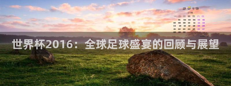 看世界杯：世界杯2016：全球足球盛宴的回顾与展望