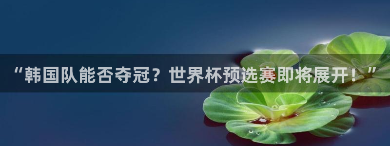 世界杯直播平台：“韩国队能否夺冠？世界杯预选赛即将展开！”